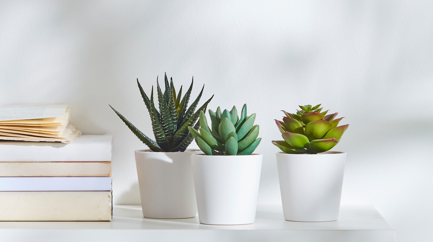 3 Artificial Succulent Plants Fake in Pots Mini Faux Grass for Home Office Decor 