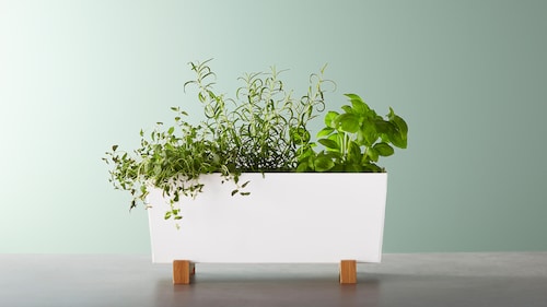 Featured image of post White Plant Stand And Pot : They&#039;re chic, stylish, and fully functional.