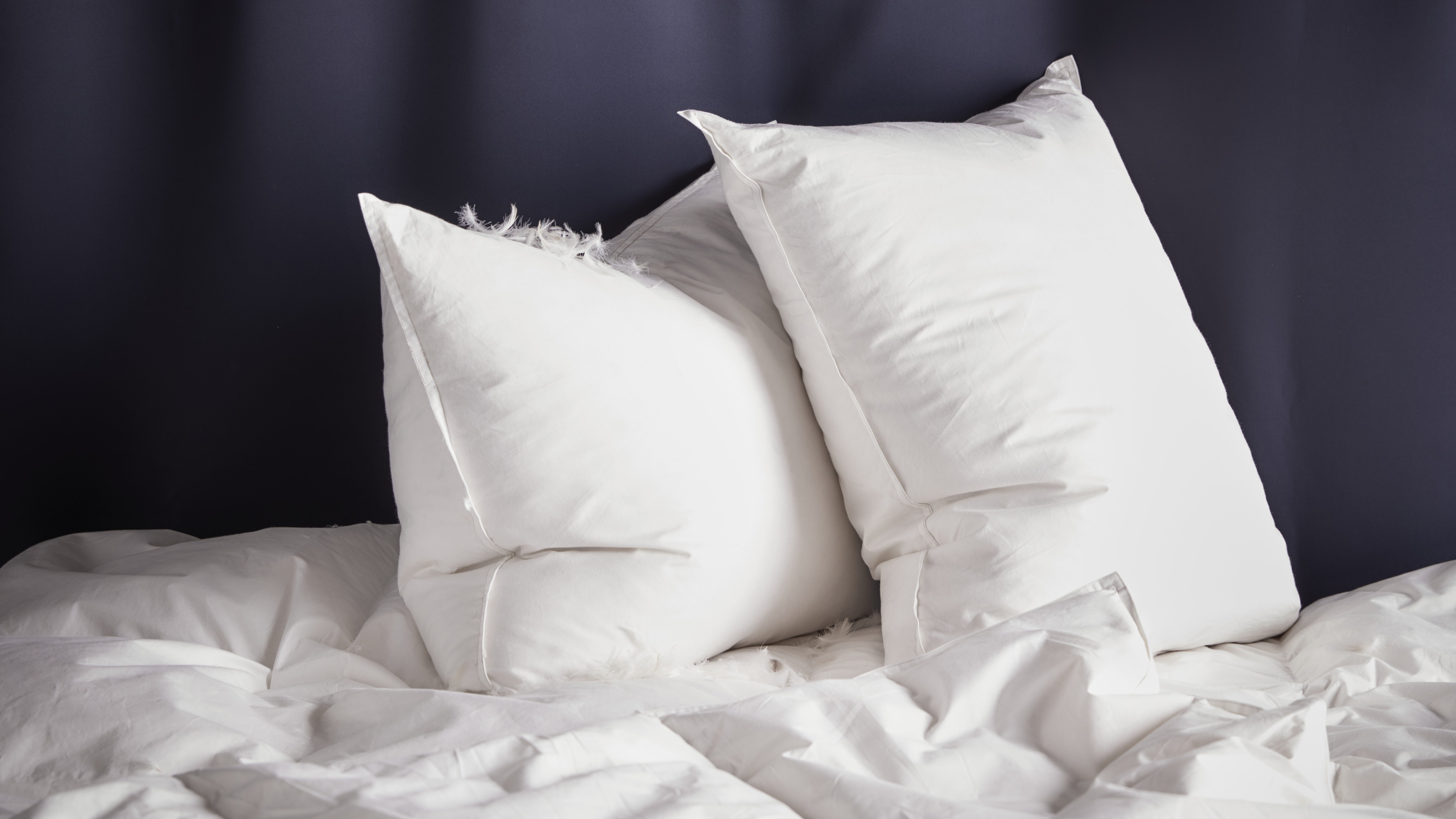 gosa syren pillow replacement