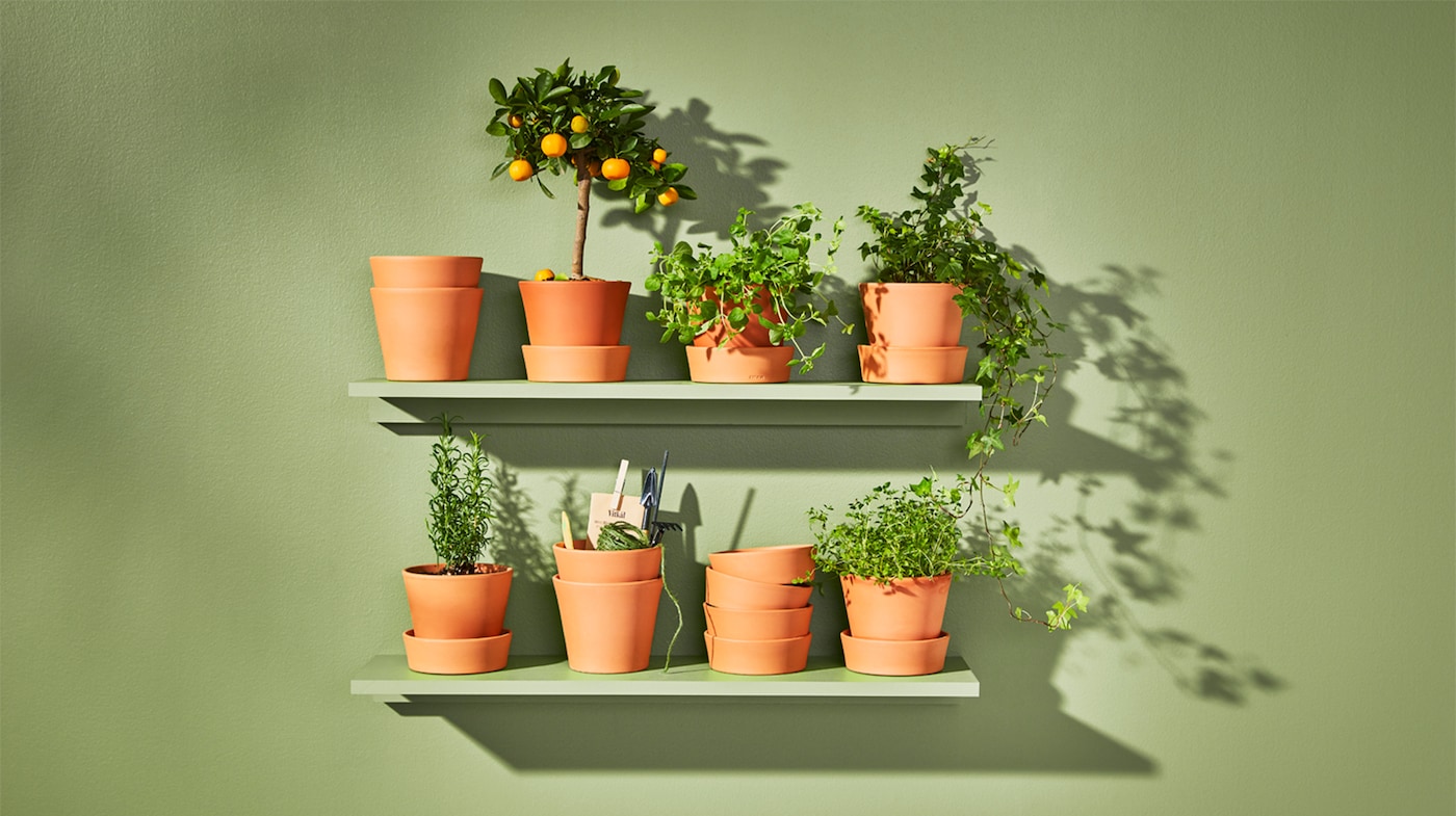 Plant pots - Flower pots - IKEA